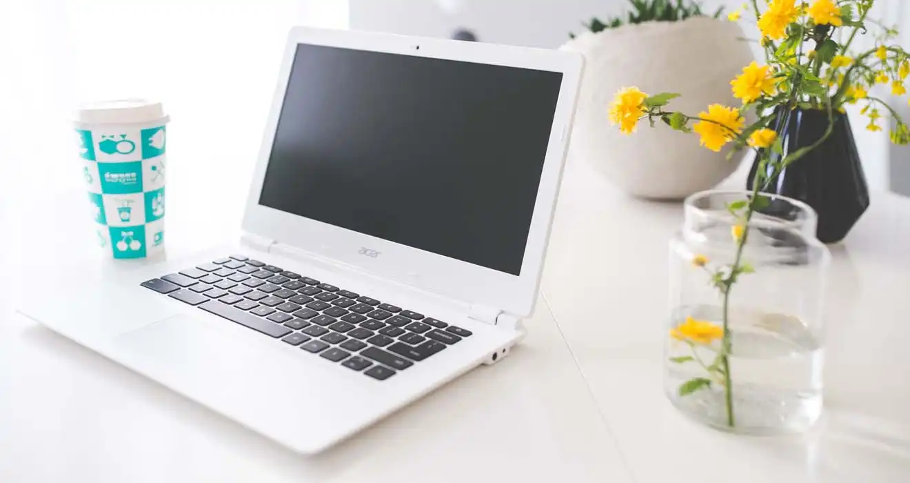 Ремонт ноутбуков Acer в Саранске